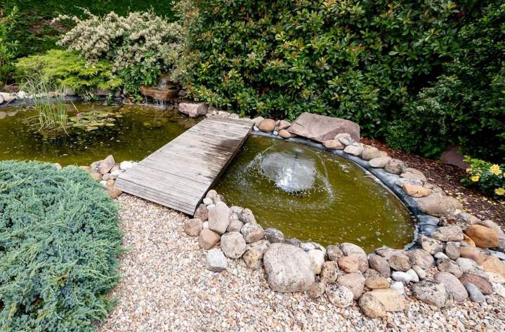 Entretien aménagement jardine Saint-Denis-de-Palins