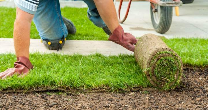 Pose de gazon Saint-Denis-de-Palin