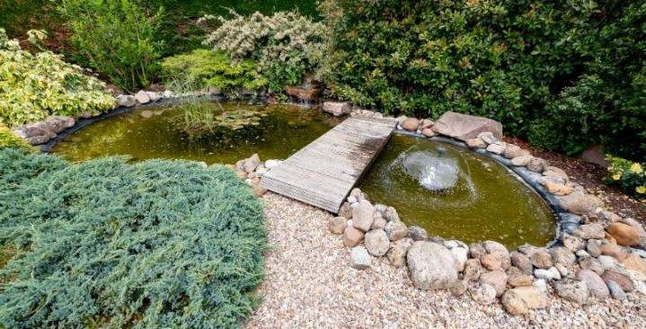 Soins jardin Saint-Denis-de-Palin