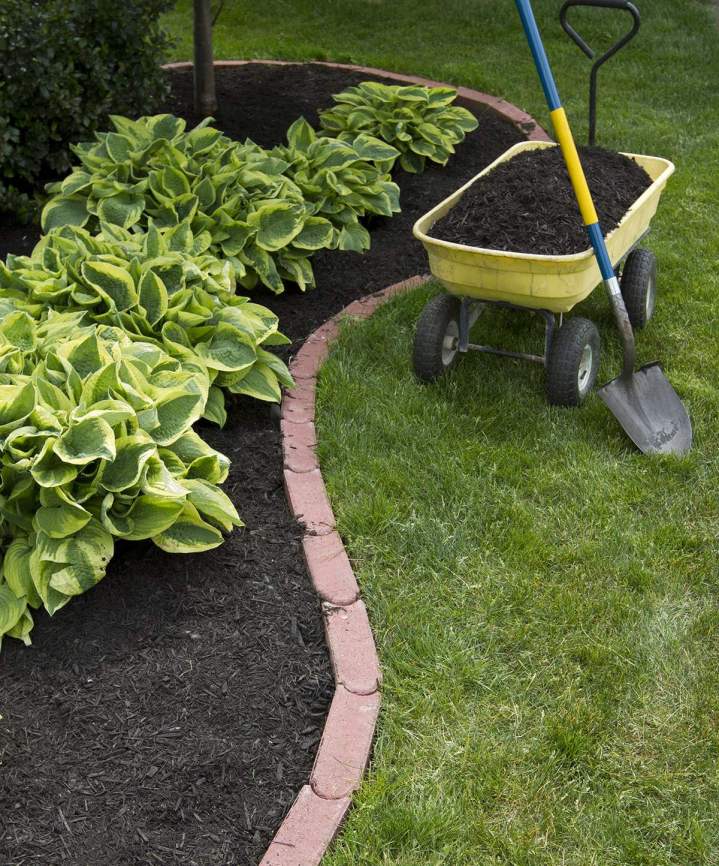 Entretien du jardin Saint-Denis-de-Palin